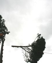 Arbor Ouest image 3