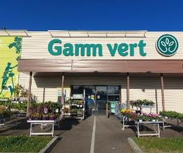 GAMM VERT image 3