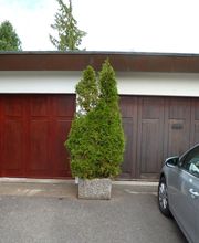 Favro Robert SA Bild 6