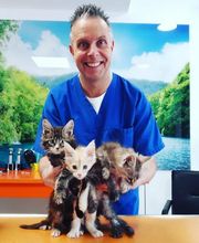 dr. Mazzi Michele Bild 1