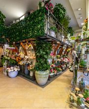 Gallery Professionale