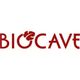 BIOCAVE Marc Güntert