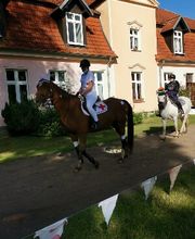 Reiterhof Daugzin C. Edel & E. Berkhahn GbR Bild 5