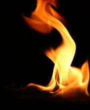 Baumgartner Augst AG Bild 6