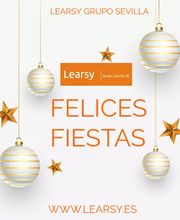 Empresa de limpieza en Sevilla Learsy imagen 1