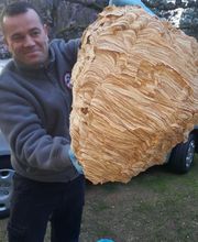 Stop Nuisibles 03 image 5