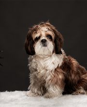 Berman & Associates image 1