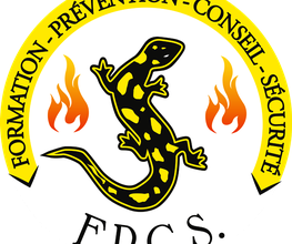 FPCS Doussaint SAS image 3