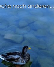 meine-eigene-weiterentwicklung.de Bild 1