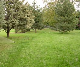 Paysage Services image 5