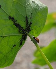 Marion Thierl Bild 5