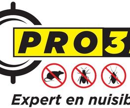 Pro-3D image 17