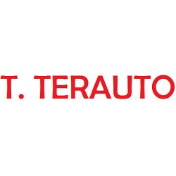 terauto.png