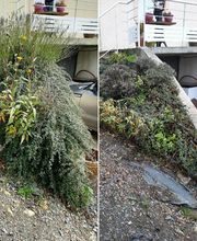 La Clé des Jardins image 2