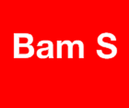 Bam S Sécurité image 2