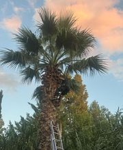 Expert Paysage 34 image 5