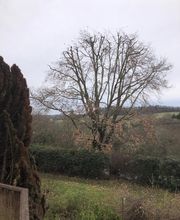 Jean-David Durand Lombard image 5