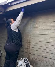 SafeHaven Pest Control image 1