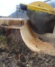 Parisini AG - Ihr Gartenbauer im Aargau Bild 10