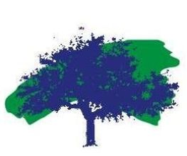 Pini srl immagine 2
