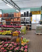 Pirig Gartencenter Bild 4