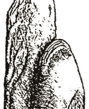 Heinz Samulewitz & Söhne GmbH Bild 15