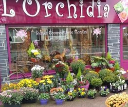 L´Orchidia image 2