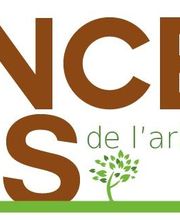 Concept Bois de l'arbre à la Maison image 3