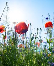 Kämpf Service Bild 4