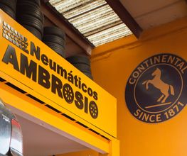 Neumáticos Ambrosio imagen 3