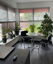 M + P Auto-Service Kfz.-Meisterbetrieb Bild 1