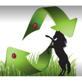 S.A.I S.R.L. logo