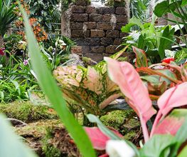 Garten-Center Spiering GmbH Wesel Bild 78