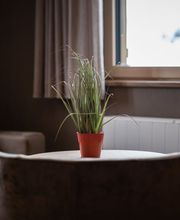 Hotel-Restaurant Panorama Bettmeralp AG Bild 12