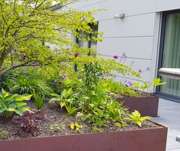 Beyeler Guido, Gartenpflege GmbH Bild 5