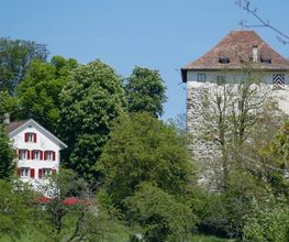 Gasthaus Schlosshalde Bild 2