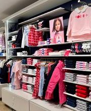 Collection essentiel