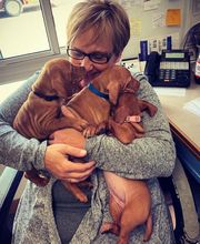 Associated Veterinary Services image 19