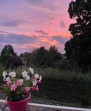 La Villa Rose image 4