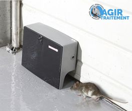 A.G.I.R image 14