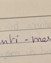 Line d'Avenir image 2