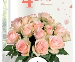 Monceau Fleurs image 3