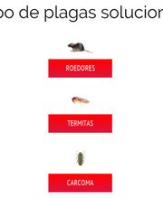 tratamientos_control_plagas.png