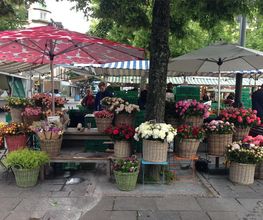 Blumen Müller Bild 10