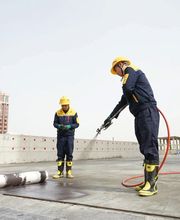 Proaba image 2