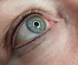 Claudia Nikolic Studio für Permanent Make-up & Fineline-Tattoo Bild 15