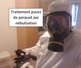 Protec Nuisibles image 6