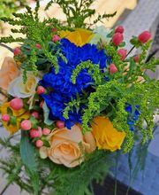 Christophe Abel Paysage image 5