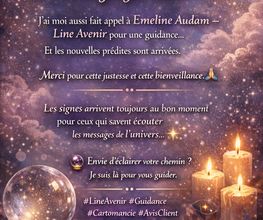 Line d'Avenir image 3