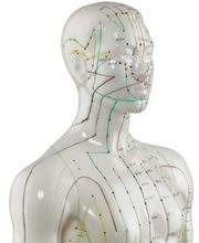 TCM-Helvetica GmbH Bild 12